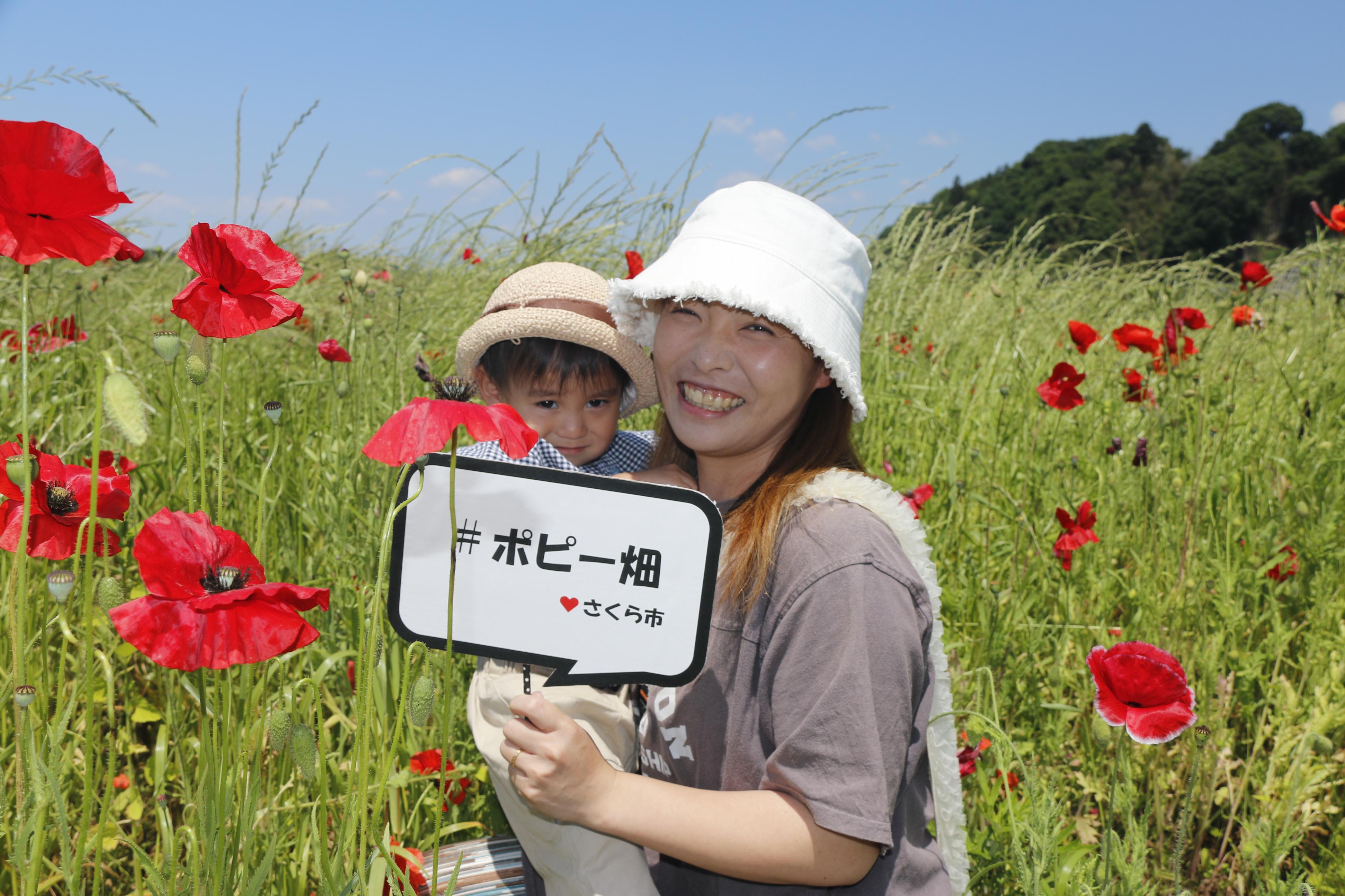 ポピー畑にいる女性と子どもの写真 ポピー畑にいる女性と子どもの写真