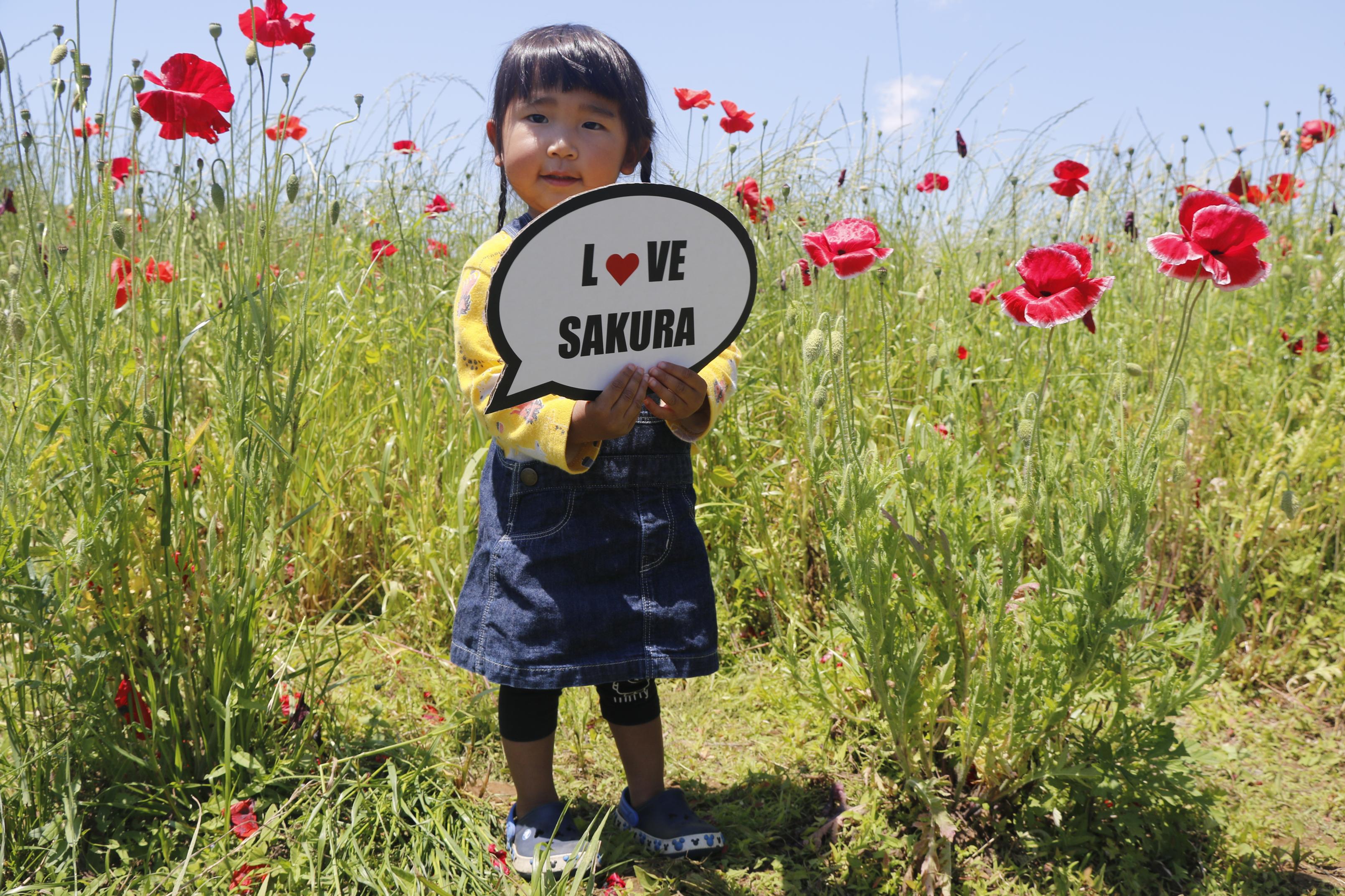 ポピー畑にいる子どもの写真 ポピー畑にいる子どもの写真