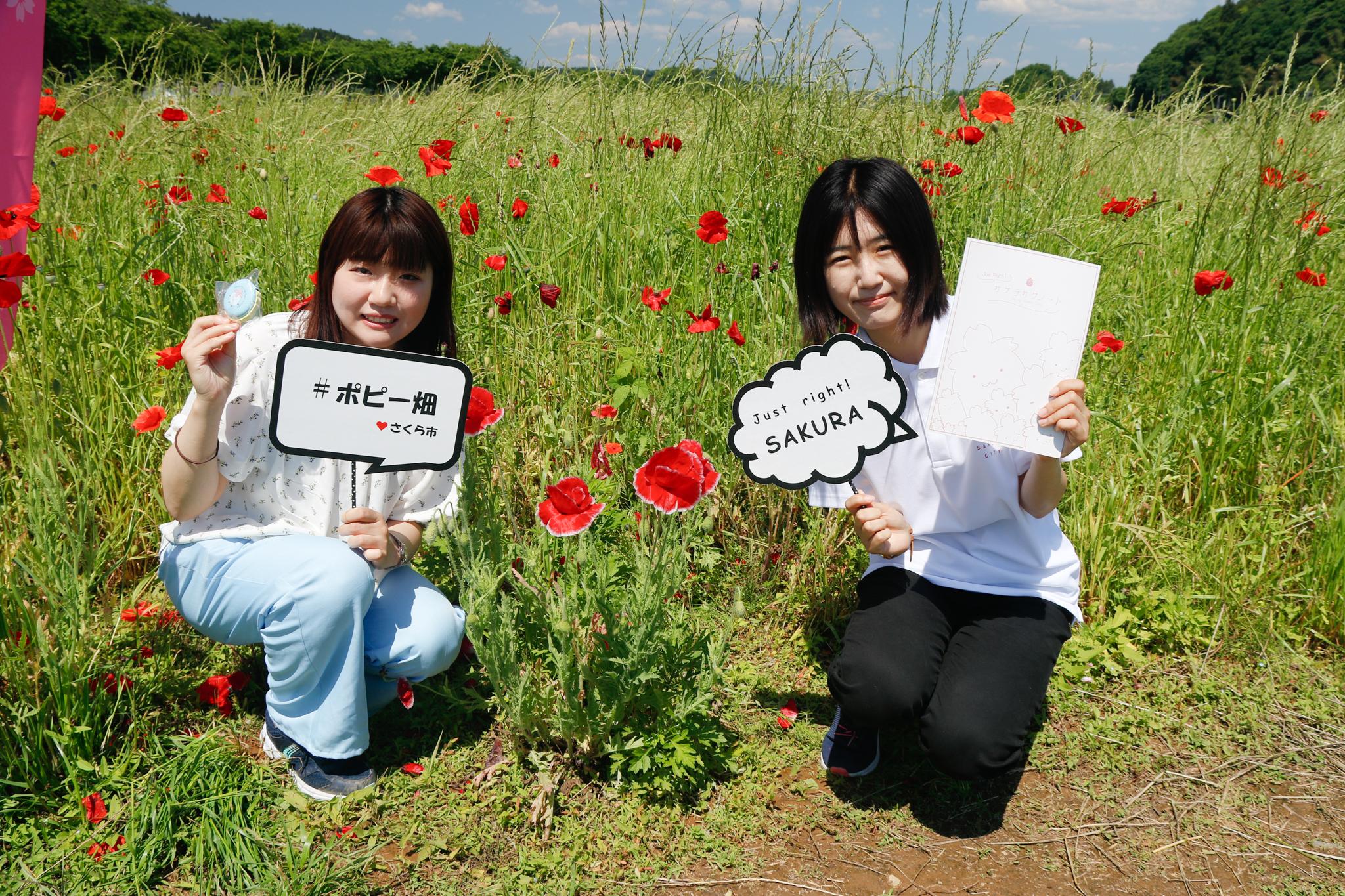 ポピー畑にいる女性二人の写真 ポピー畑にいる女性二人の写真