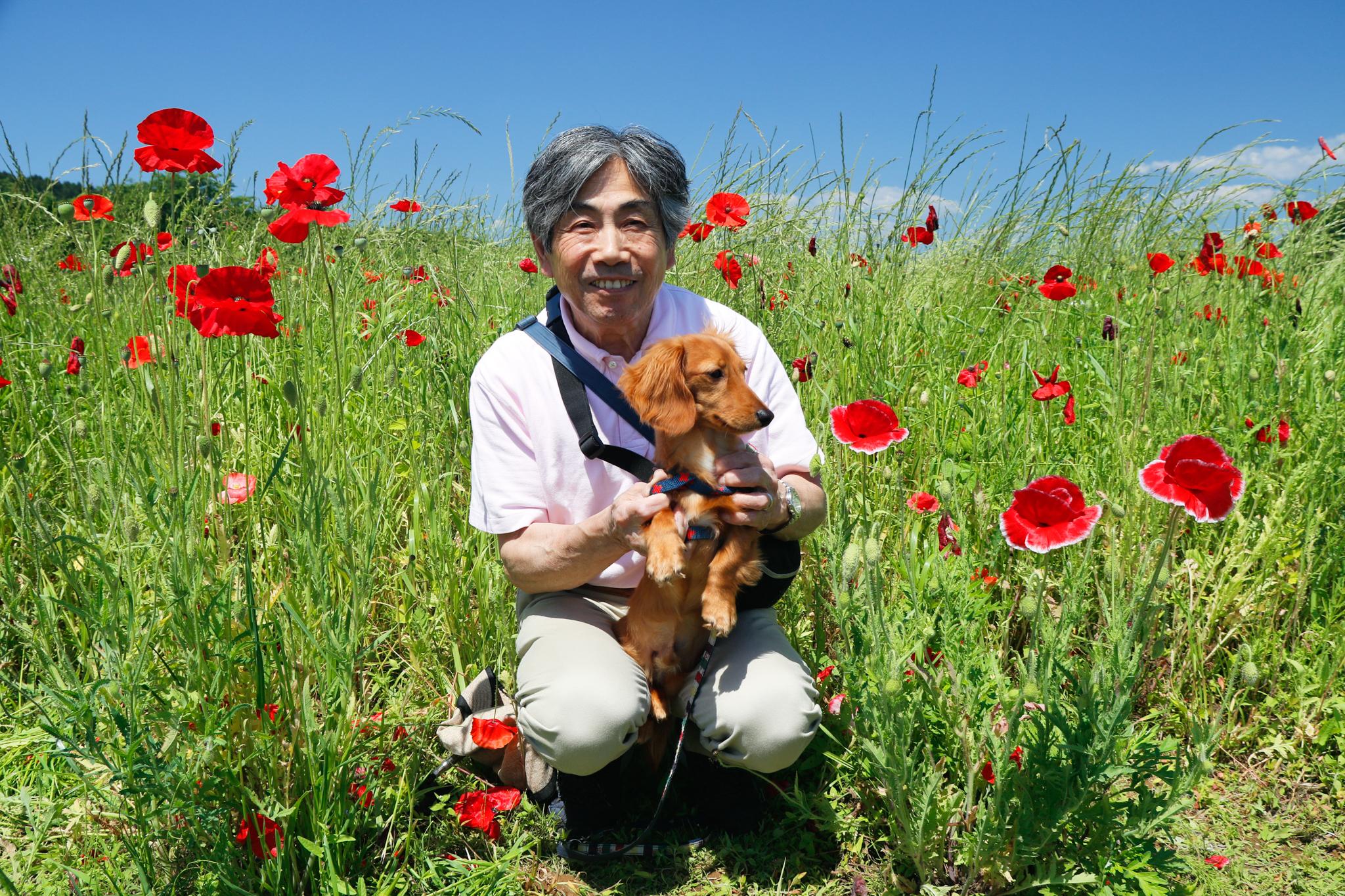 ポピー畑にいる男性と犬の写真 ポピー畑にいる男性と犬の写真