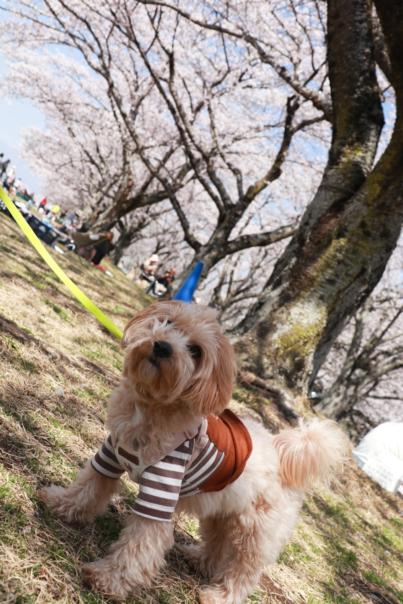 とっておき撮影会写真23 とっておき撮影会写真23