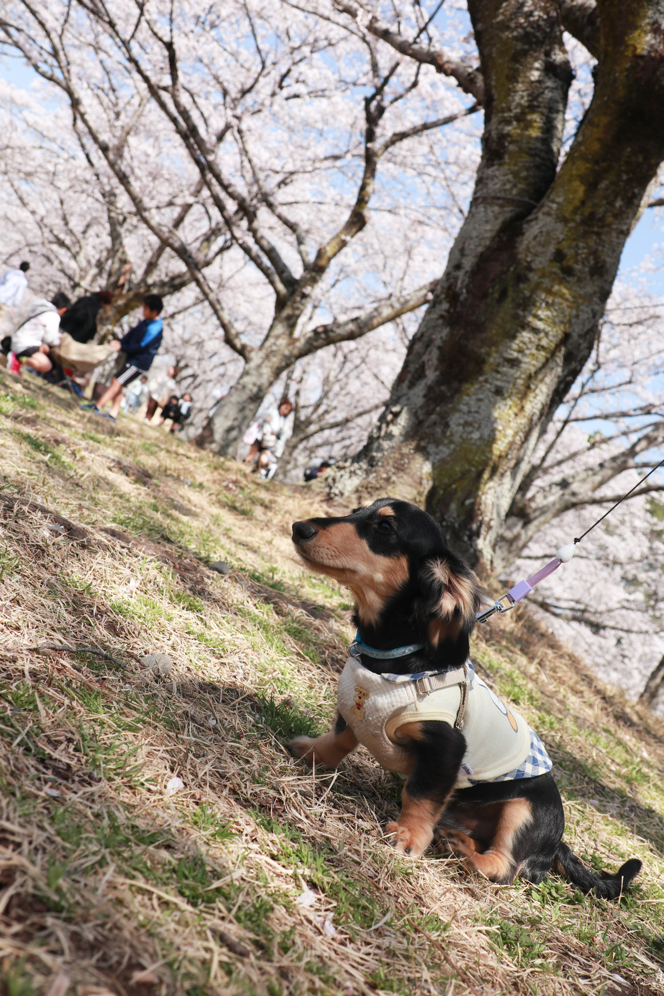 とっておき撮影会写真12 とっておき撮影会写真12