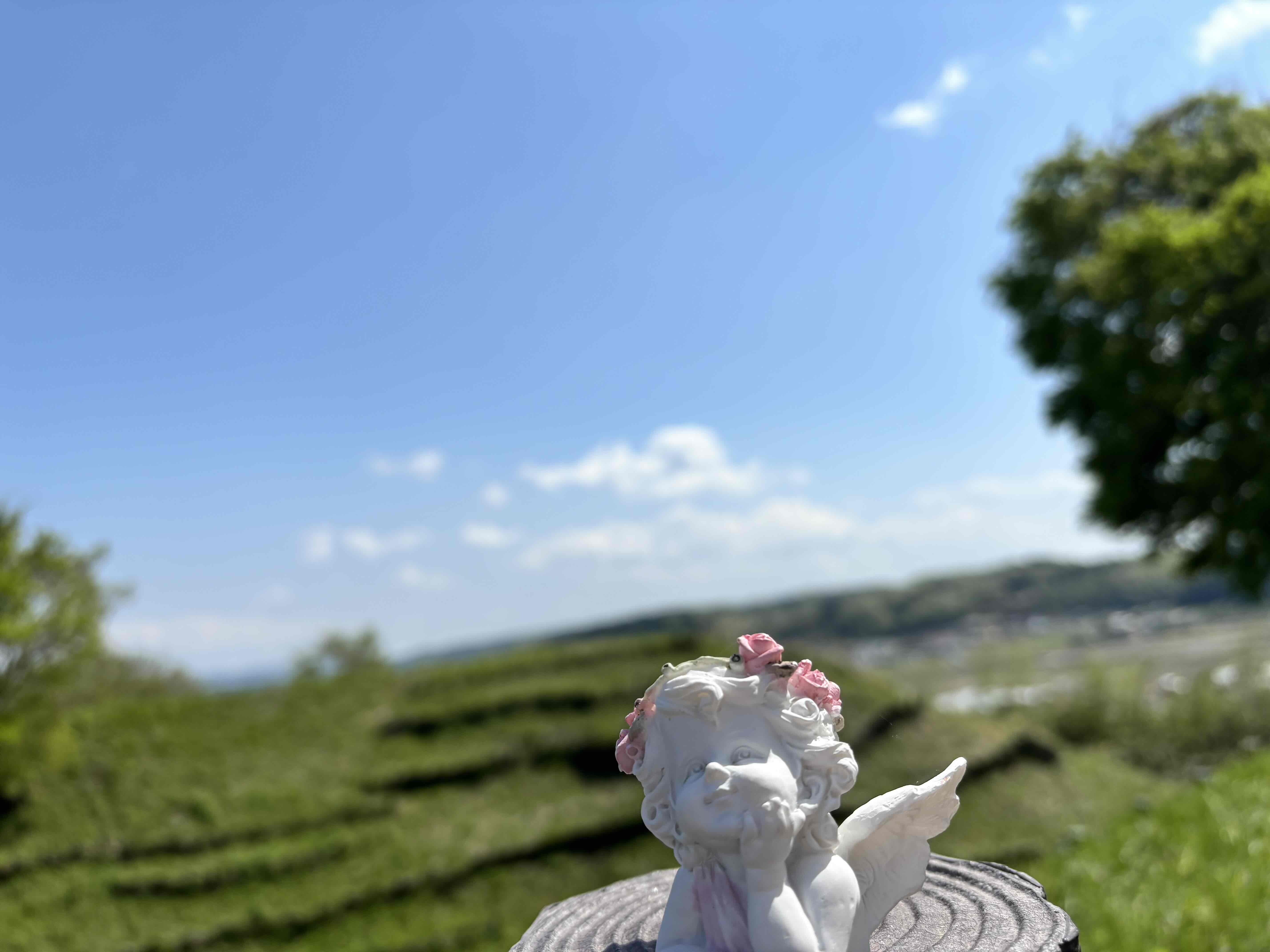 「お丸山の天使ちゃん」髙野かなえさん 「お丸山の天使ちゃん」髙野かなえさん