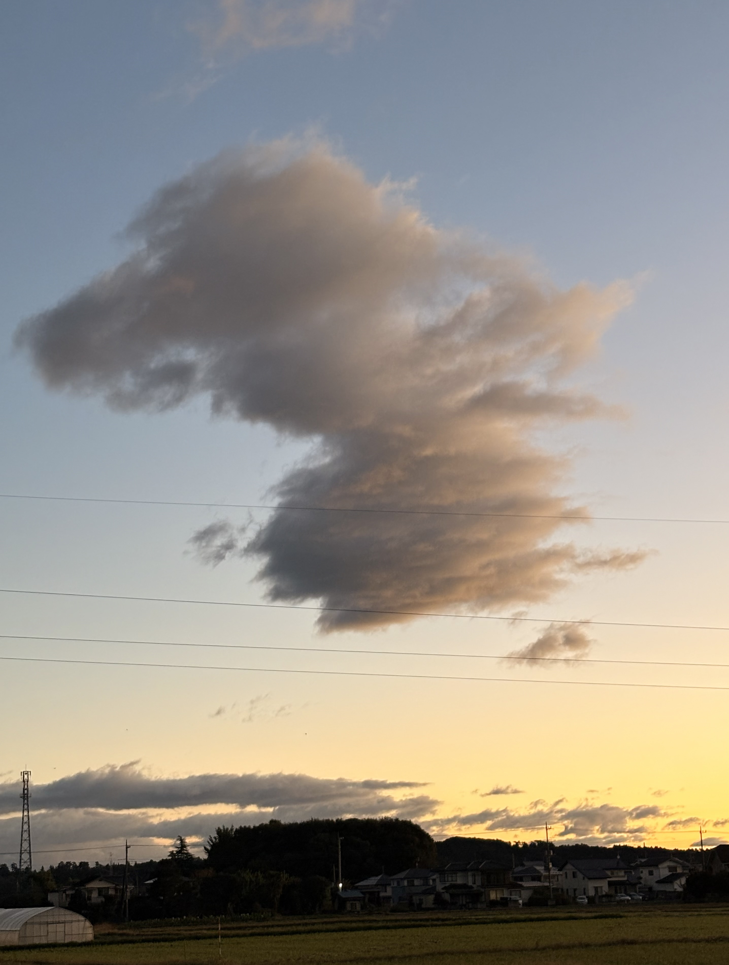 冬空(ゴジラ雲) 冬空(ゴジラ雲)