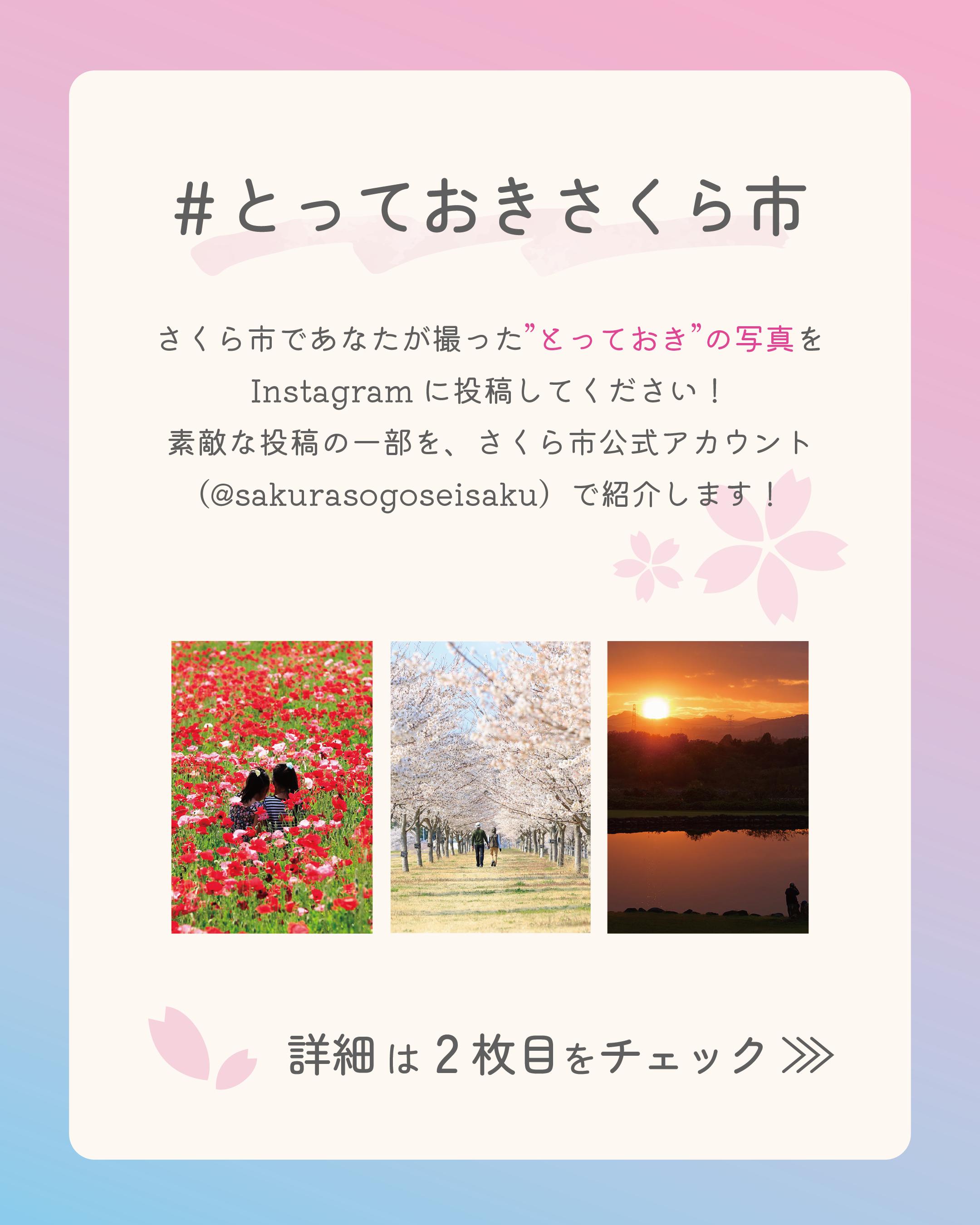 撮っておき。さくら市1