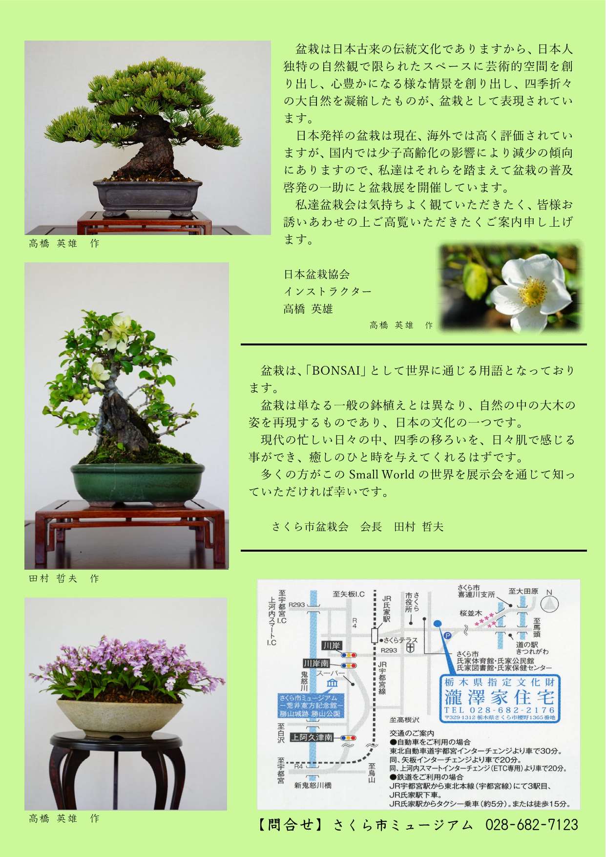 盆栽展裏面